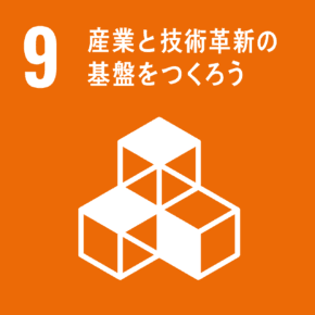 SDG Goal 9